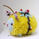 Photos from The Gnome Genome Project